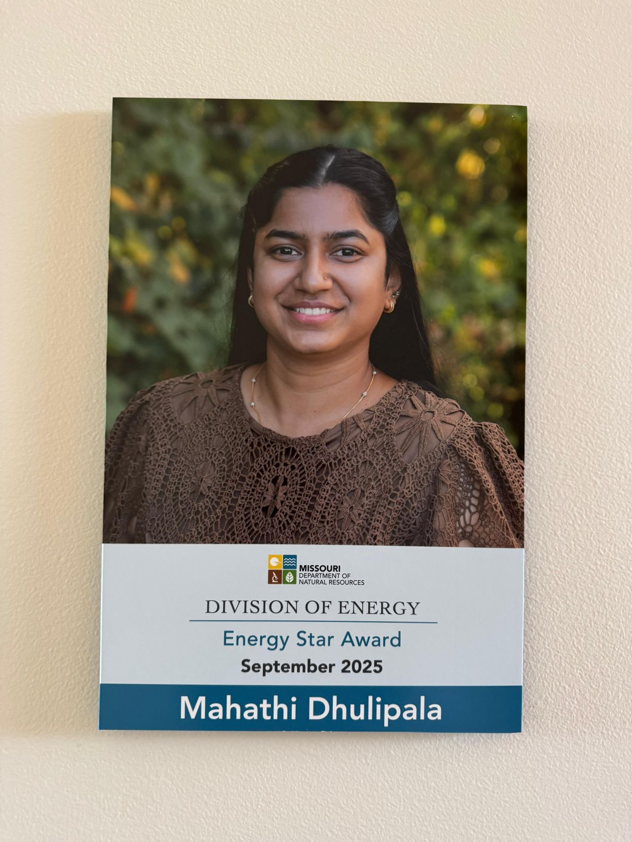 Energy Star Award wall Recognition